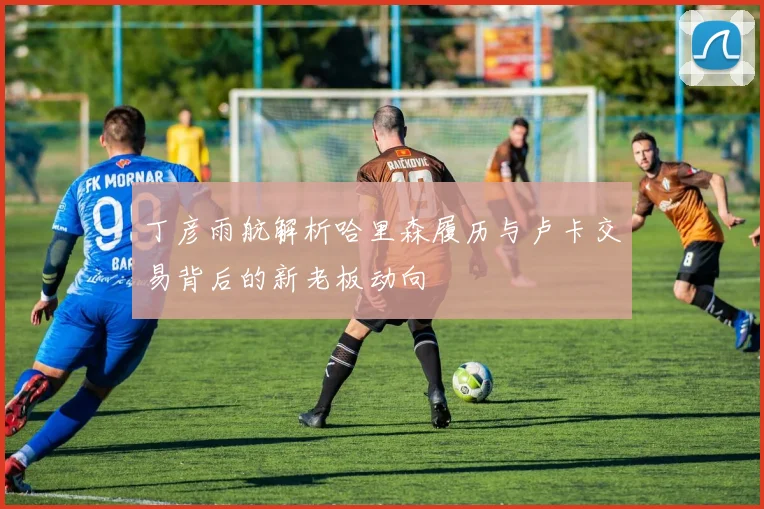 丁彦雨航解析哈里森履历与卢卡交易背后的新老板动向