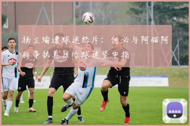 杨立瑜遭球迷怒斥：何必与阿猫阿狗争执真该给球迷竖中指